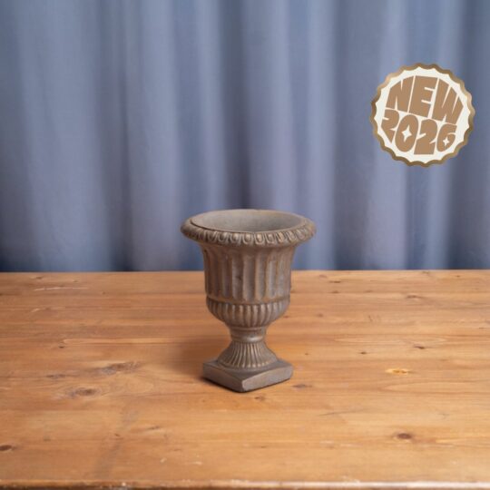 Coupe Médicis Bronze PM